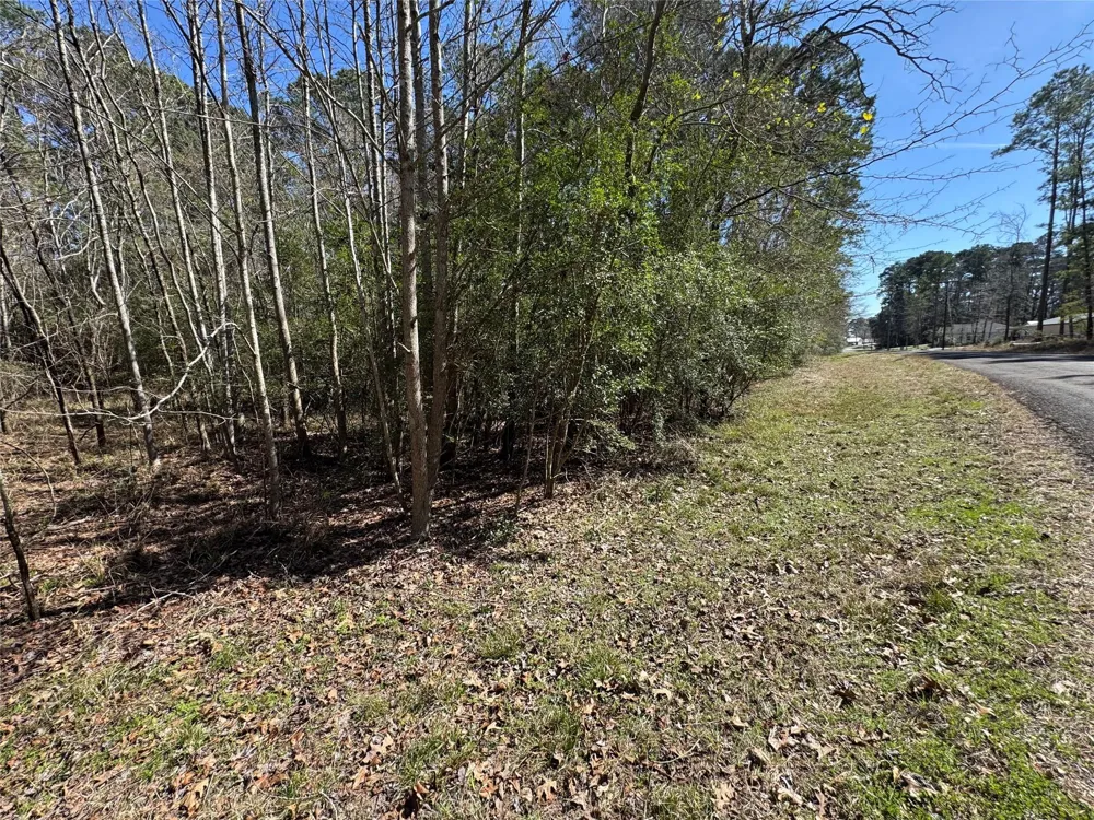 107 Whisperwood Drive Onalaska, TX 77360