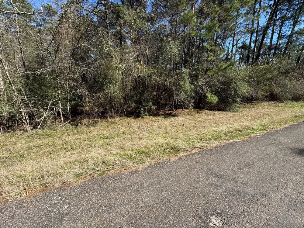 107 Whisperwood Drive Onalaska, TX 77360