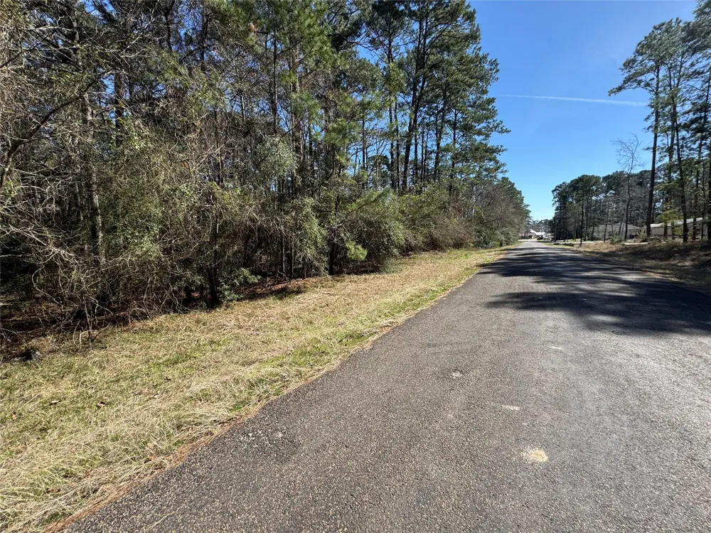 107 Whisperwood Drive Onalaska, TX 77360