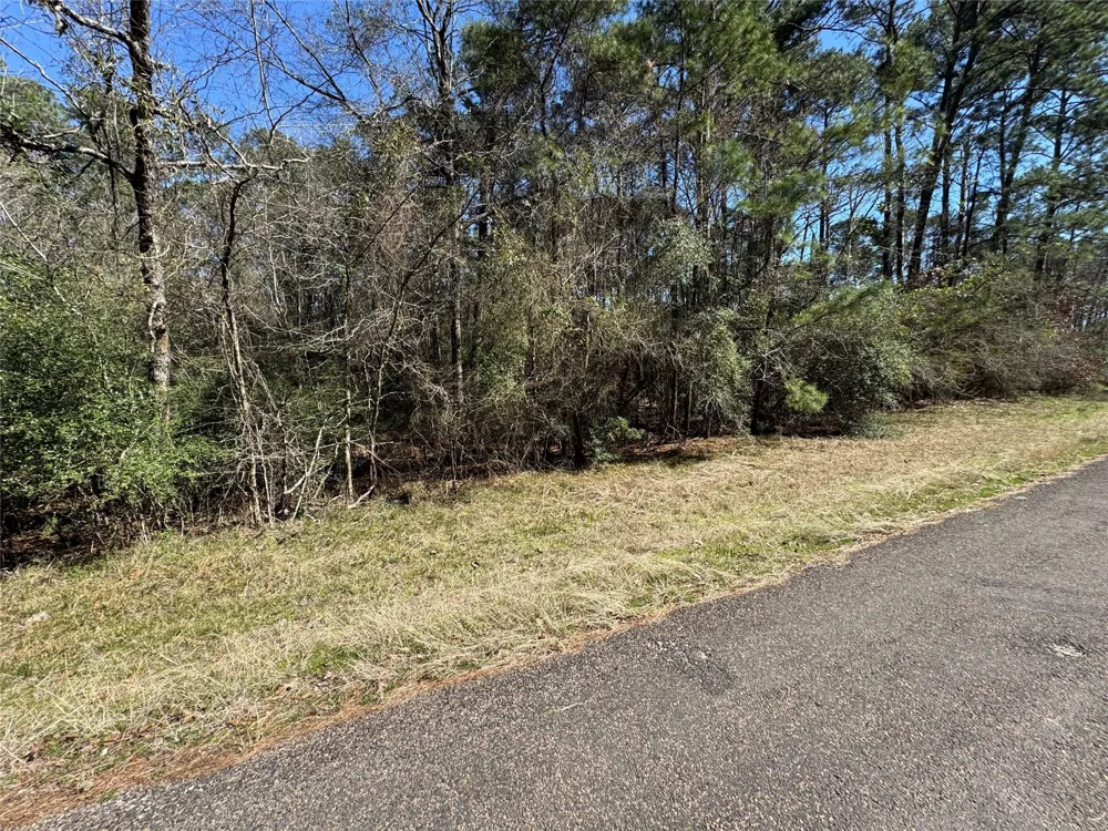 107 Whisperwood Drive Onalaska, TX 77360