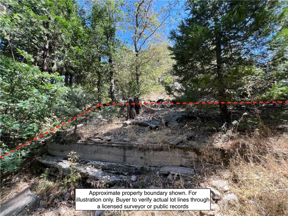 Burnt Mill Drive Lake Arrowhead, CA 92326