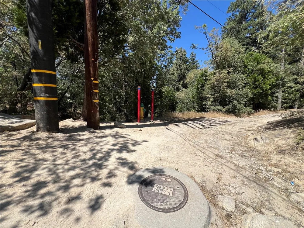 Burnt Mill Drive Lake Arrowhead, CA 92326