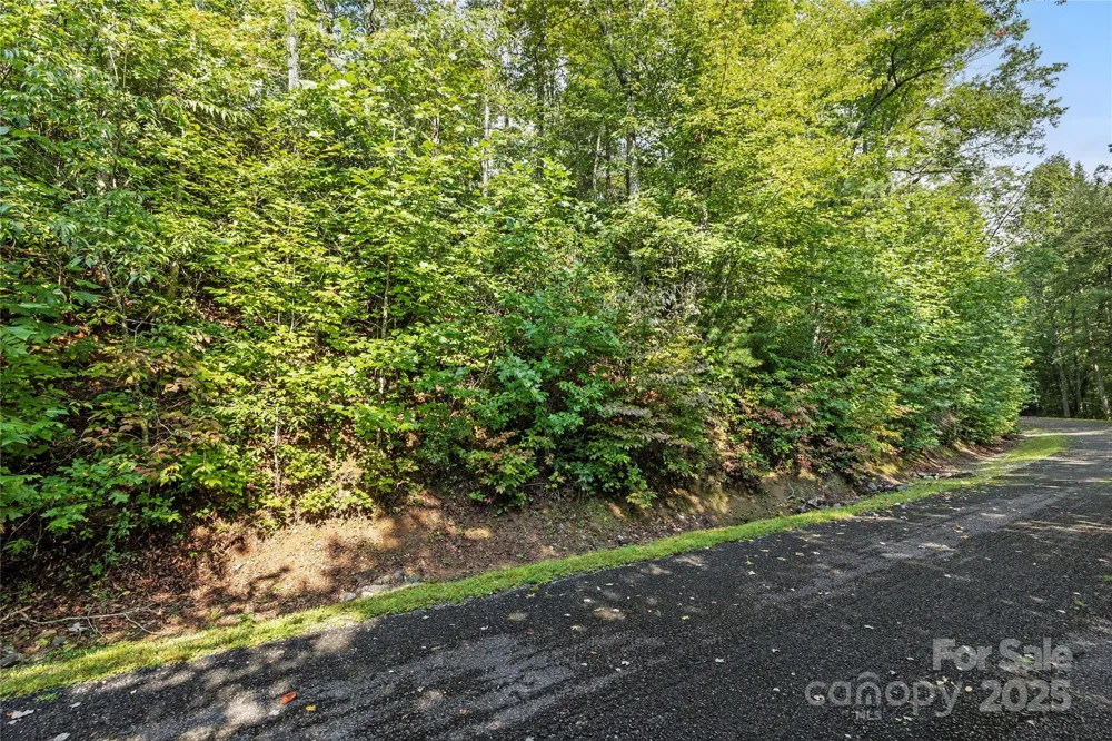 TBD Barts Branch Drive #13-16 Balsam Grove, NC 28708