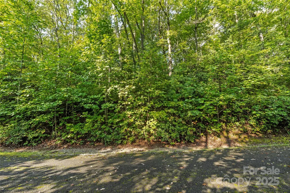 TBD Barts Branch Drive #13-16 Balsam Grove, NC 28708