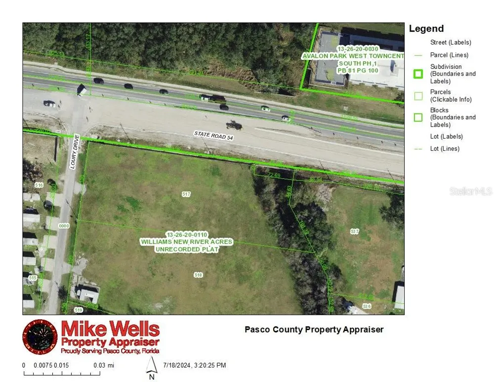 4240 LOURY DRIVE Wesley Chapel, FL 33543
