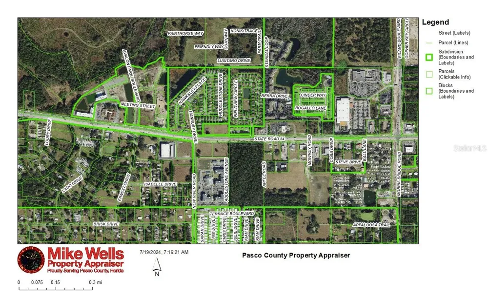 4240 LOURY DRIVE Wesley Chapel, FL 33543
