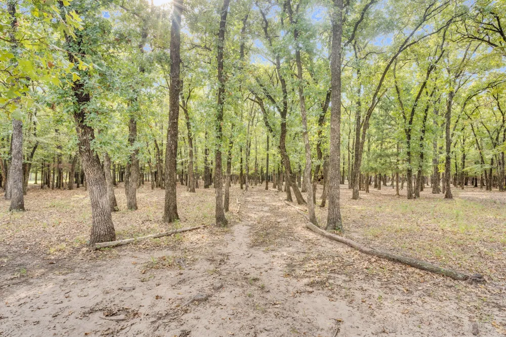 7731 Shady Lane Scurry, TX 75158