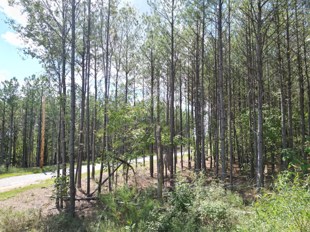 36 Pioneer Dr Linden, TN 37096