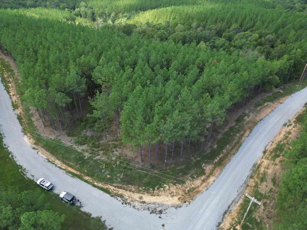 36 Pioneer Dr Linden, TN 37096
