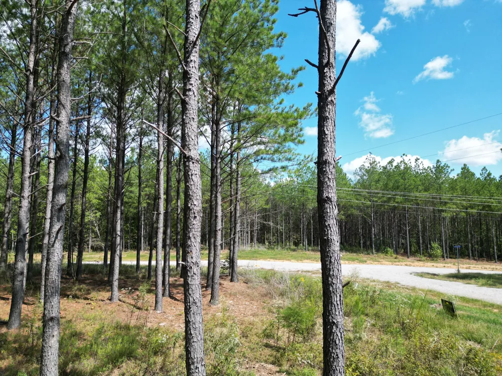 36 Pioneer Dr Linden, TN 37096