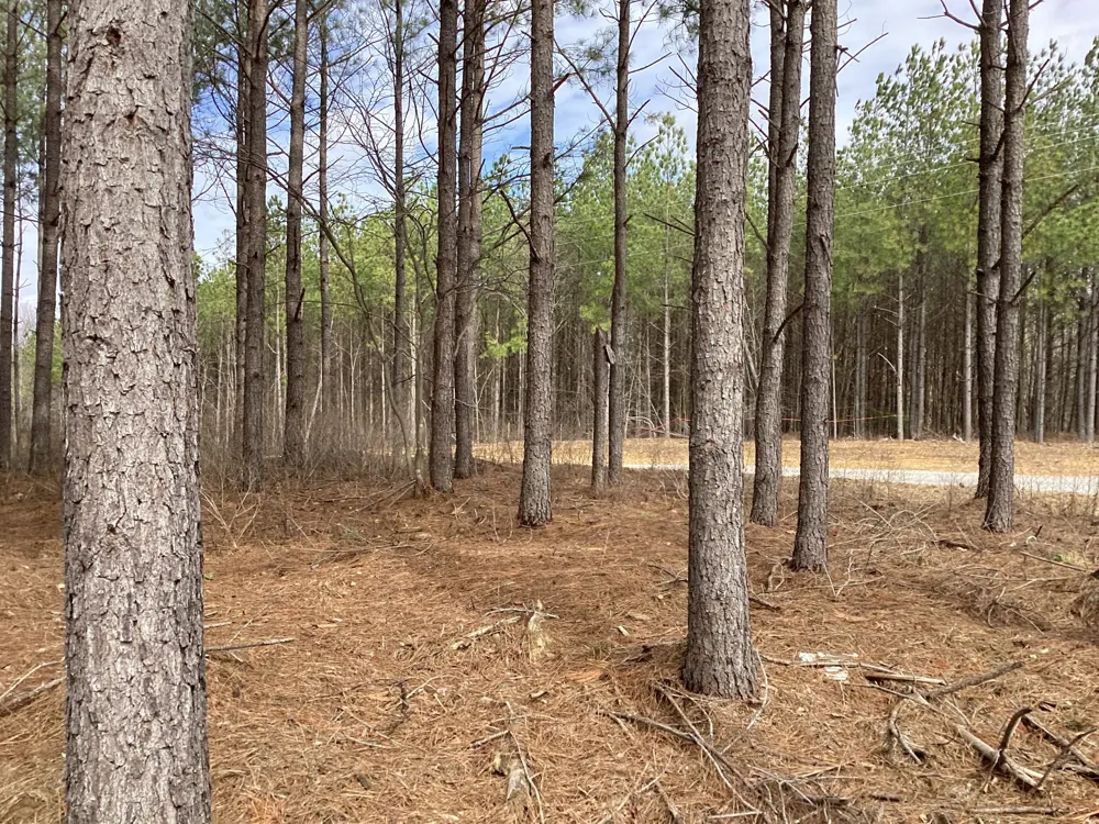 36 Pioneer Dr Linden, TN 37096