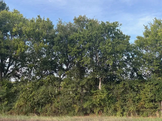 1447 FM 713 Lockhart, TX 78644