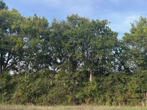 1447 FM 713