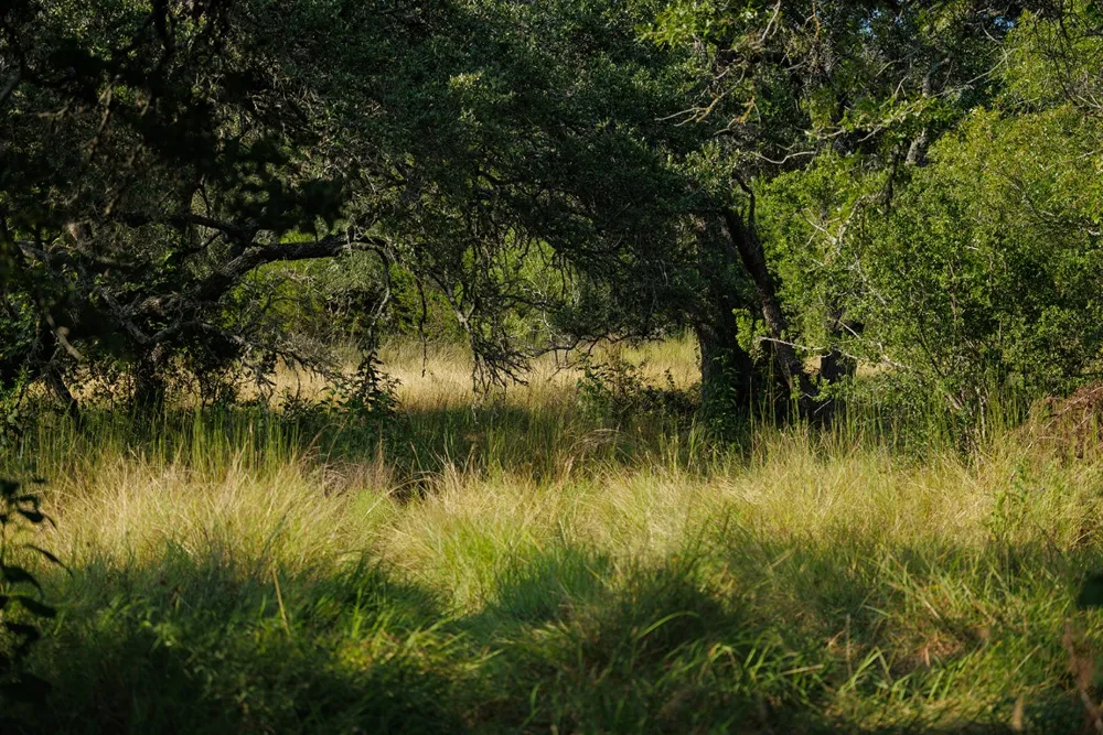 3067 Ranch Road 1888 Blanco, TX 78606