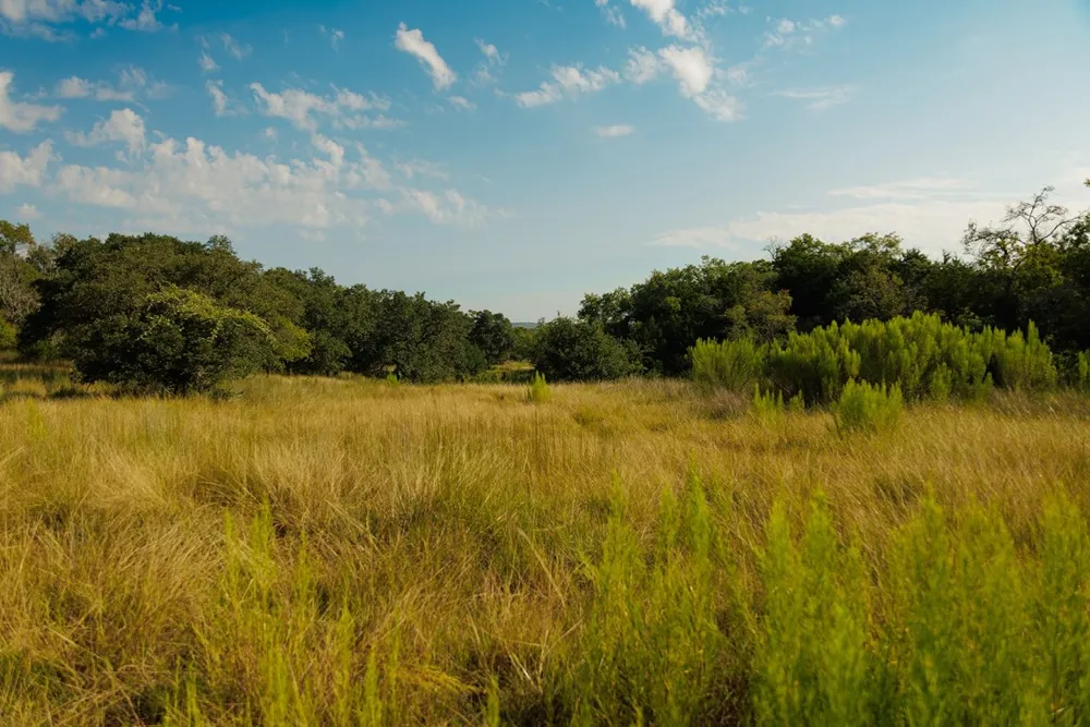 3067 Ranch Road 1888 Blanco, TX 78606