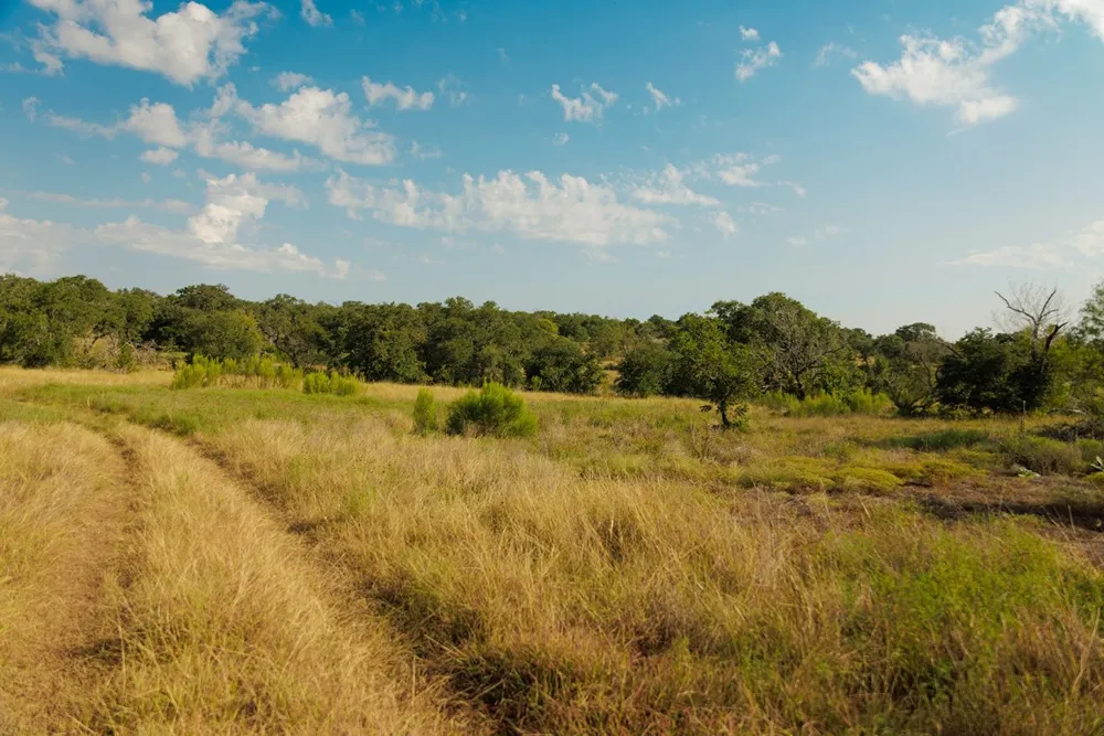 3067 Ranch Road 1888 Blanco, TX 78606