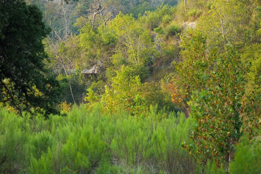 3067 Ranch Road 1888 Blanco, TX 78606
