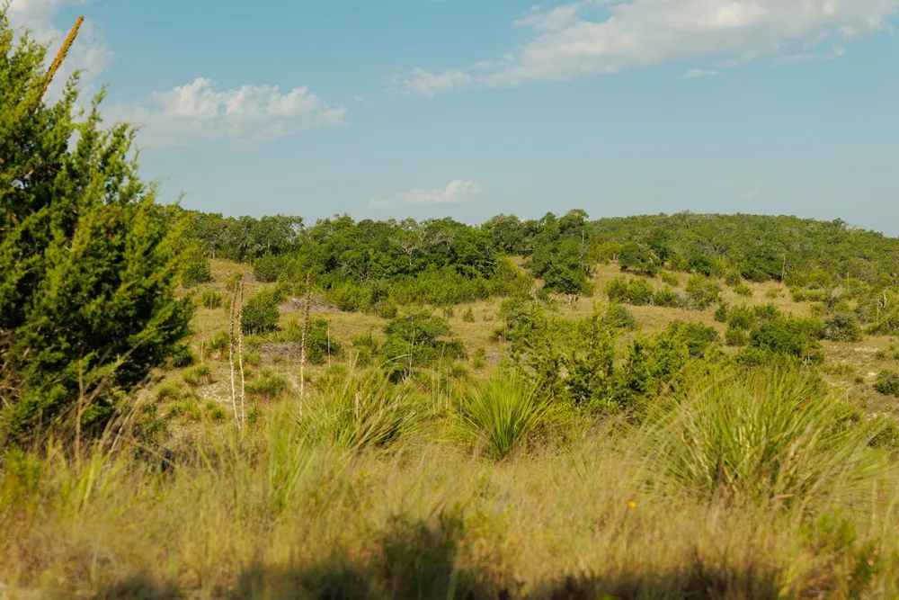 3067 Ranch Road 1888 Blanco, TX 78606