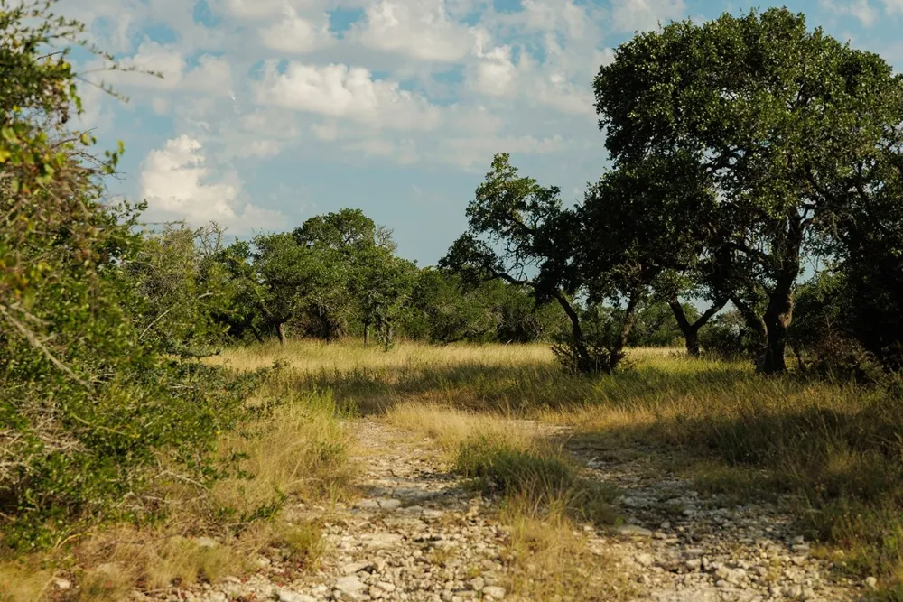 3067 Ranch Road 1888 Blanco, TX 78606
