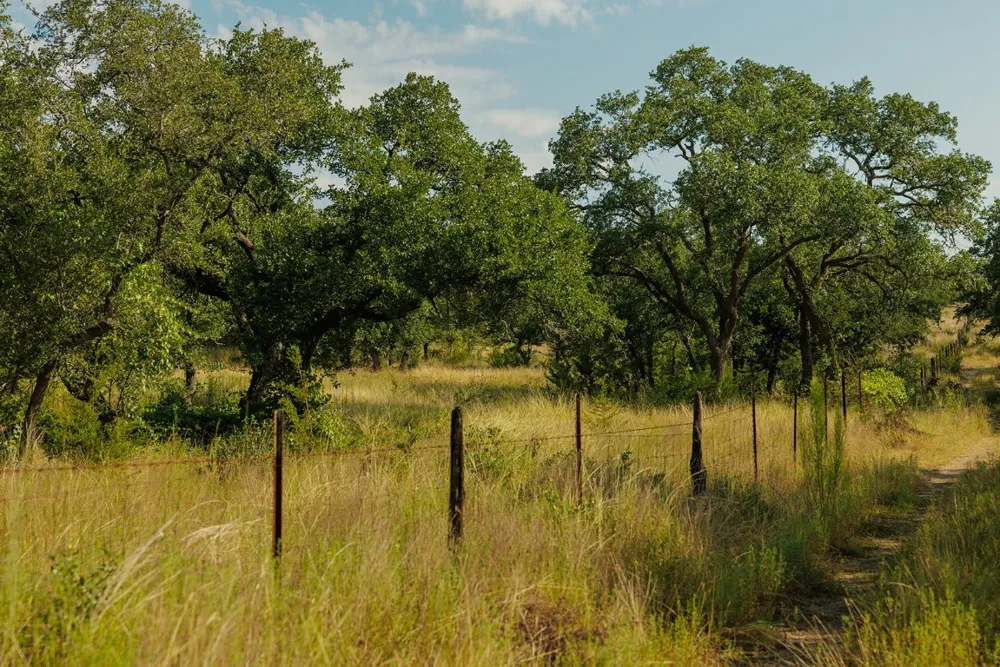 3067 Ranch Road 1888 Blanco, TX 78606