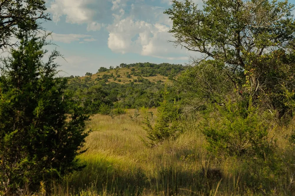 3067 Ranch Road 1888 Blanco, TX 78606