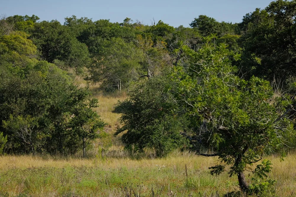 3067 Ranch Road 1888 Blanco, TX 78606