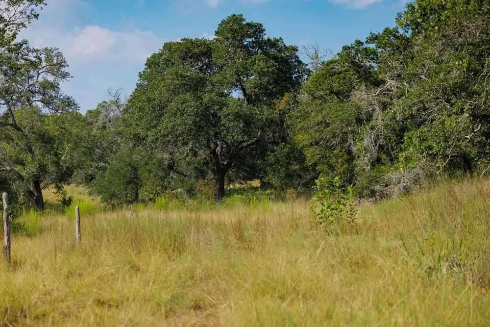 3067 Ranch Road 1888 Blanco, TX 78606