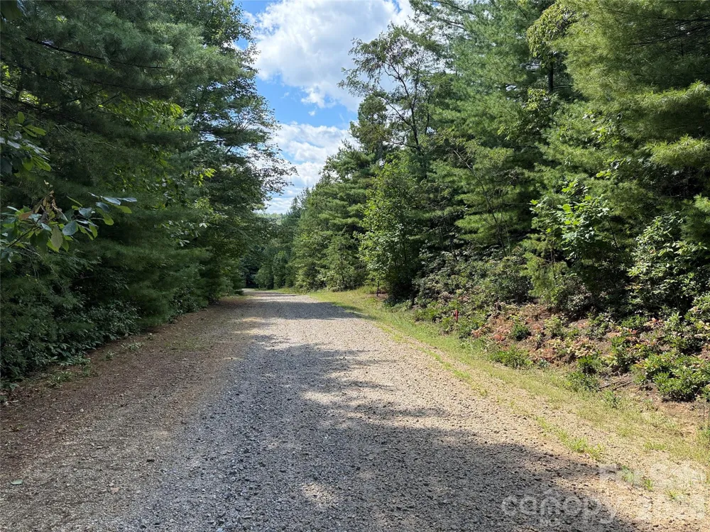 TBD Staghorn Road #163 Purlear, NC 28665