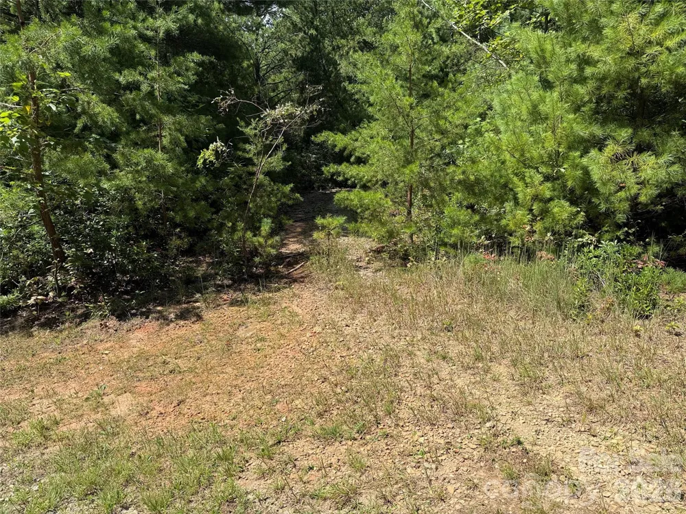 TBD Staghorn Road #163 Purlear, NC 28665
