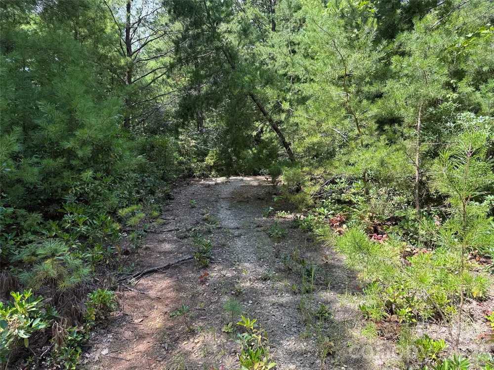 TBD Staghorn Road #163 Purlear, NC 28665