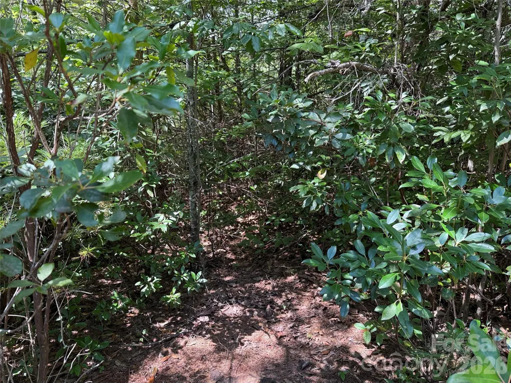 TBD Staghorn Road #163 Purlear, NC 28665