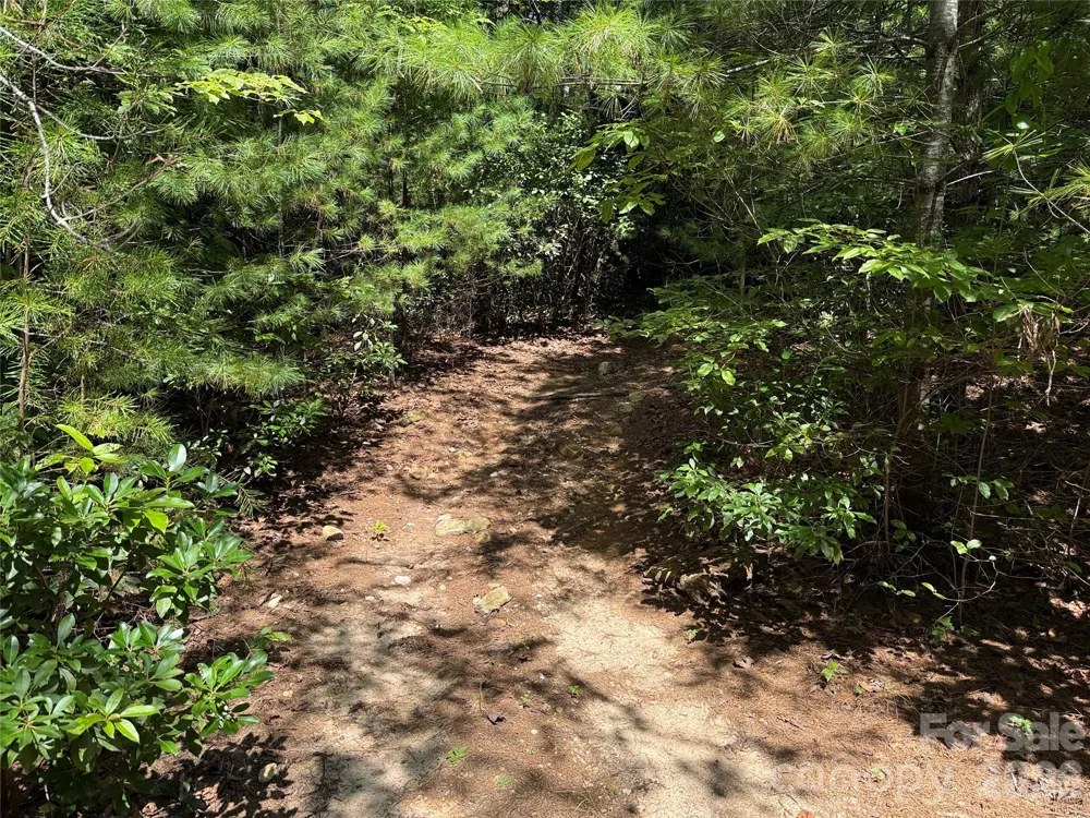 TBD Staghorn Road #163 Purlear, NC 28665