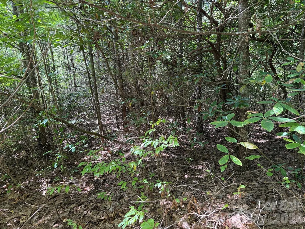TBD Staghorn Road #163 Purlear, NC 28665