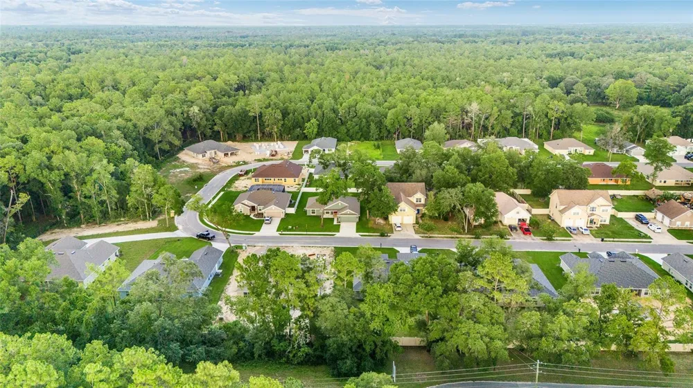 4099 NE 58TH CIRCLE Silver Springs, FL 34488