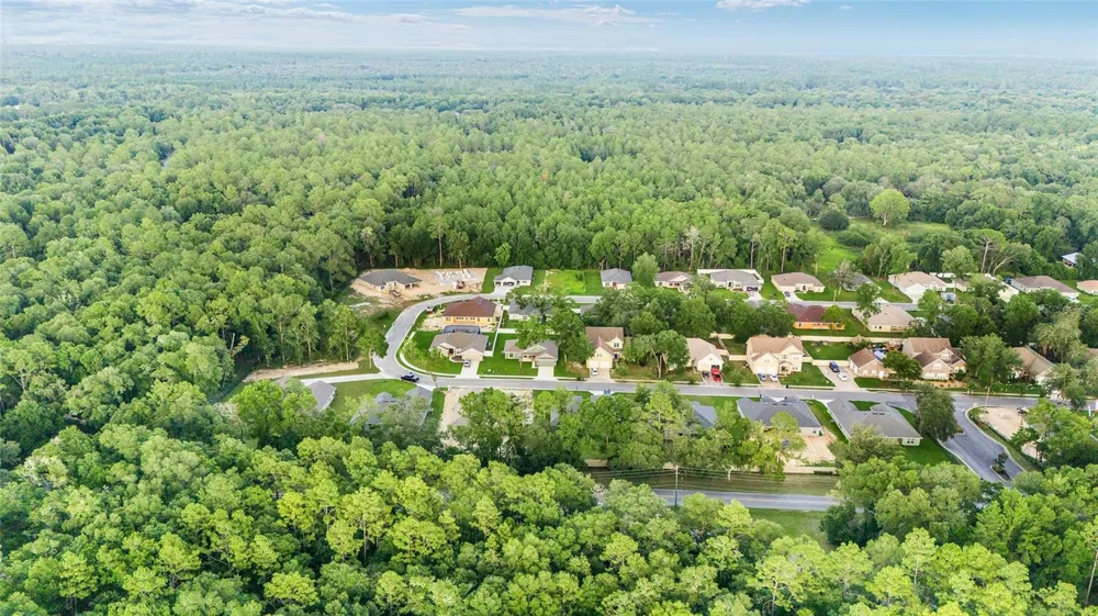4099 NE 58TH CIRCLE Silver Springs, FL 34488