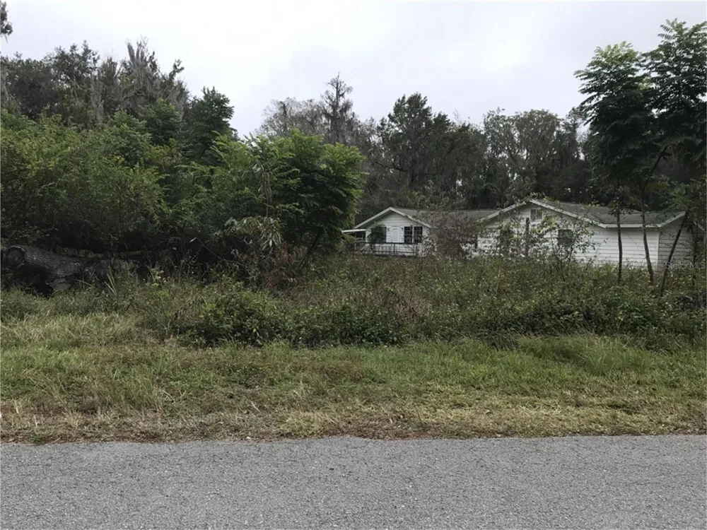 3057 CR 431N Lake Panasoffkee, FL 33538