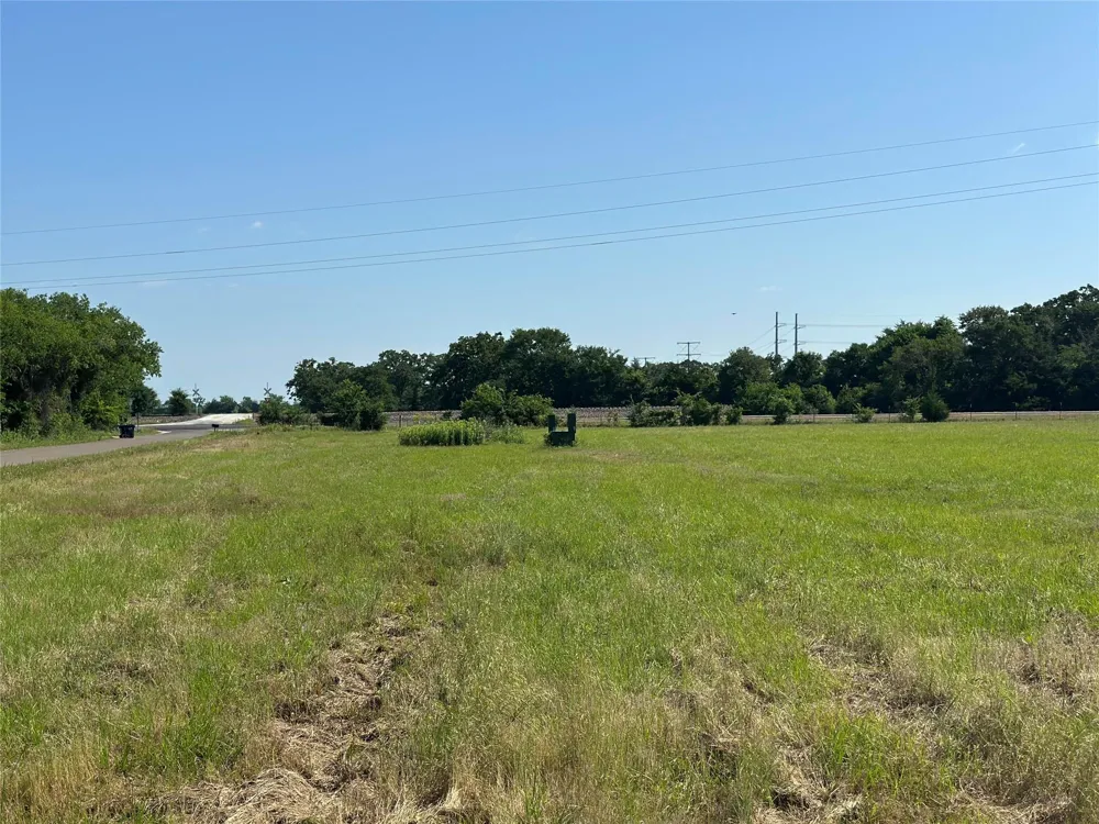 5002 Cr 128 Iola, TX 77861