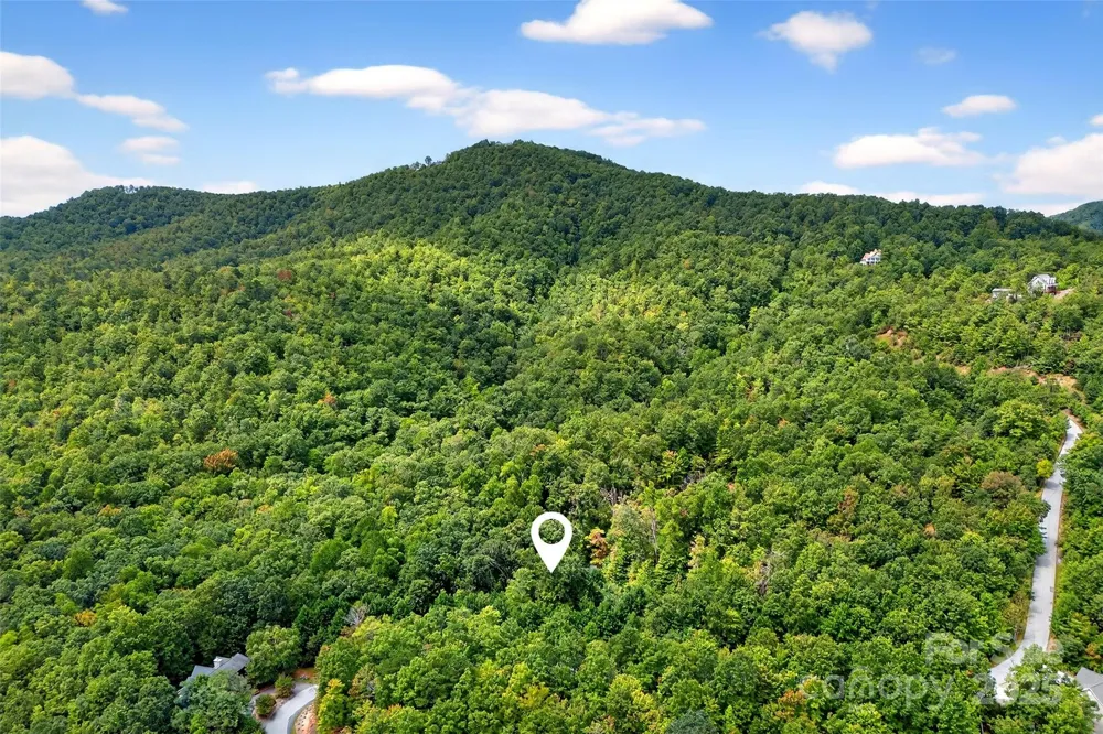 100 Comet Falls Trail #235 Black Mountain, NC 28711