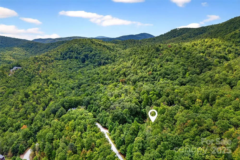 100 Comet Falls Trail #235 Black Mountain, NC 28711