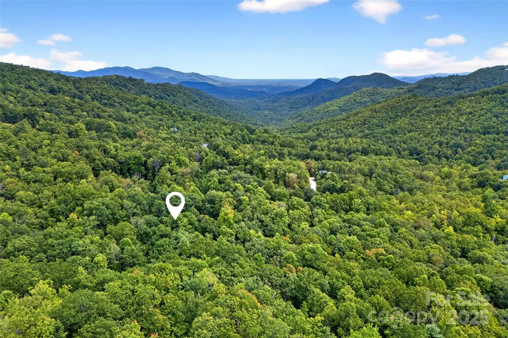 100 Comet Falls Trail #235 Black Mountain, NC 28711