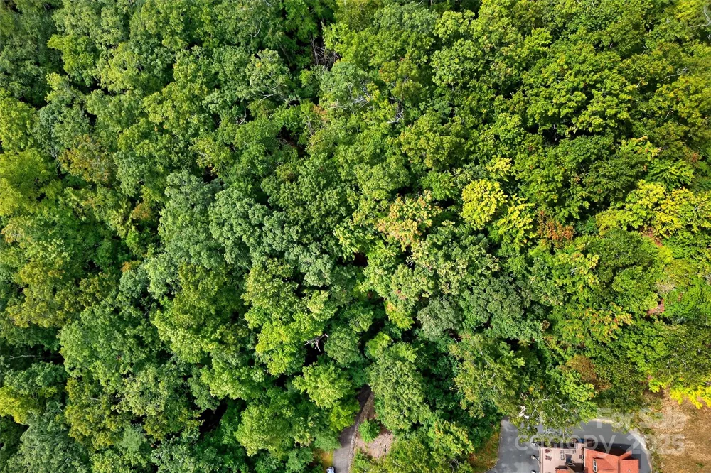 100 Comet Falls Trail #235 Black Mountain, NC 28711