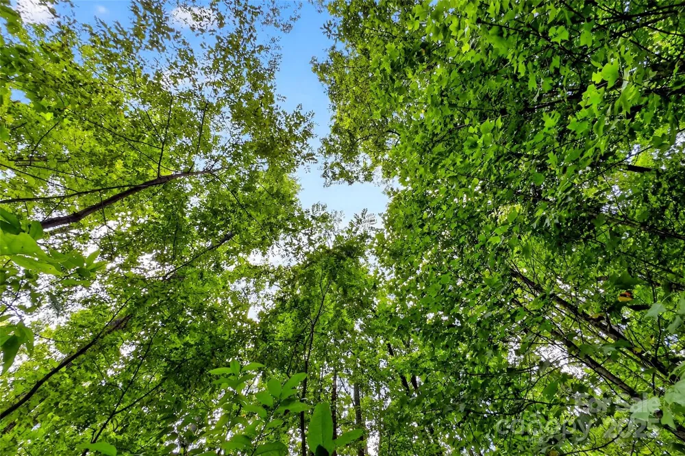 100 Comet Falls Trail #235 Black Mountain, NC 28711