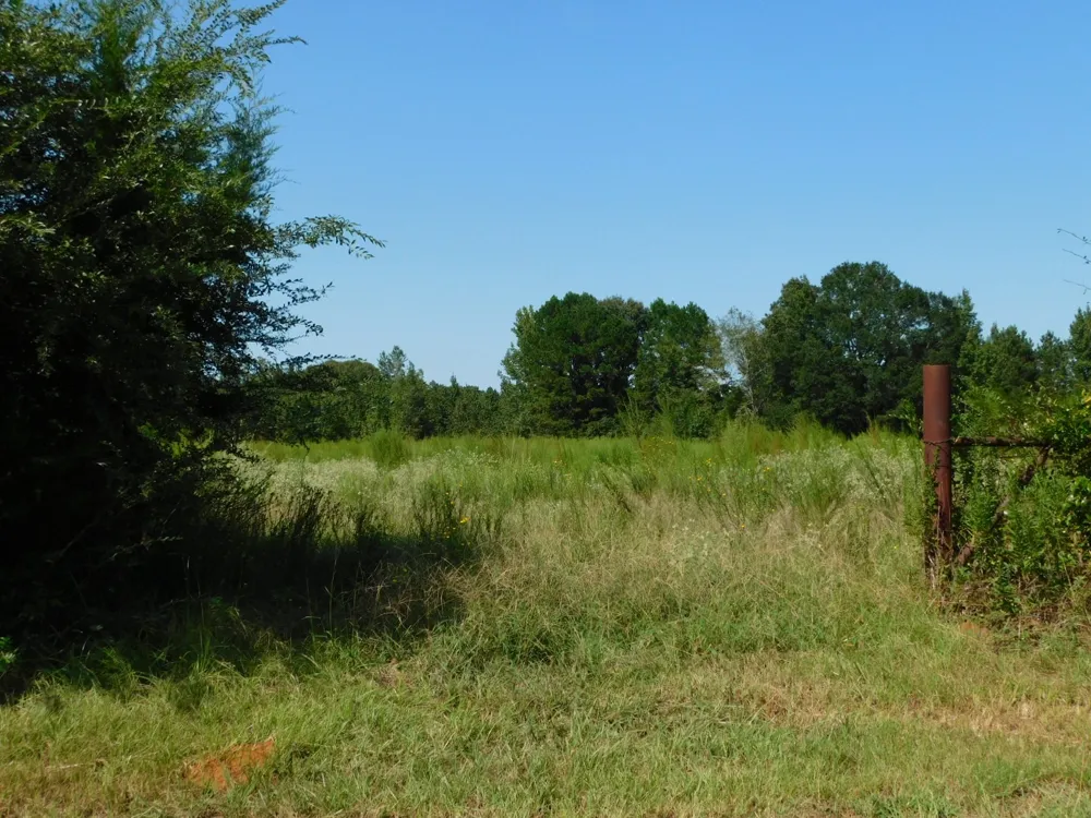 Cox Road Sarepta, LA 71071