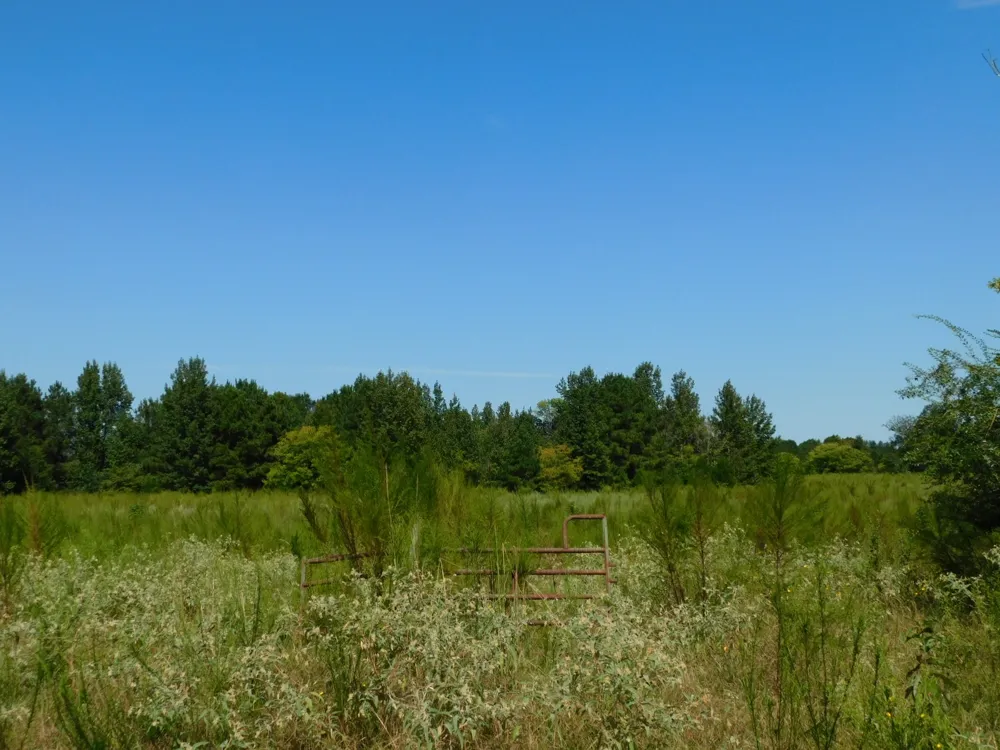Cox Road Sarepta, LA 71071