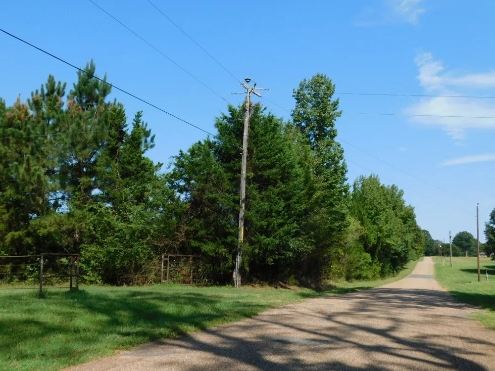 Cox Road Sarepta, LA 71071
