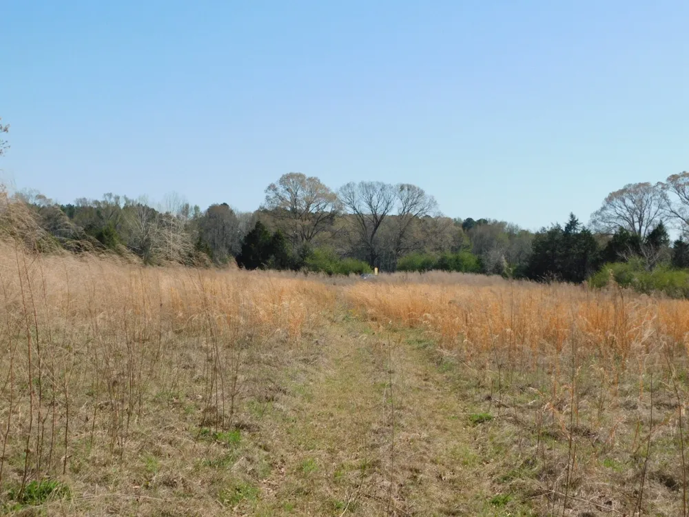 Cox Road Sarepta, LA 71071