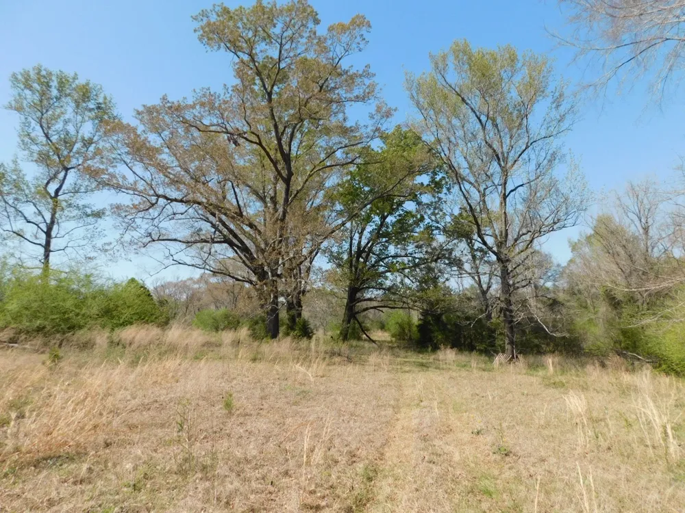 Cox Road Sarepta, LA 71071