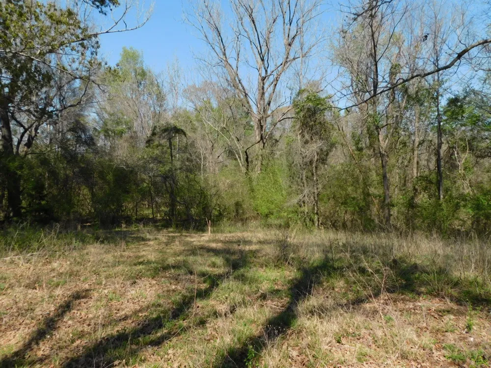 Cox Road Sarepta, LA 71071