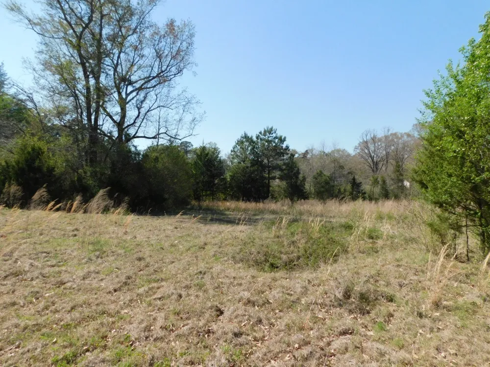 Cox Road Sarepta, LA 71071