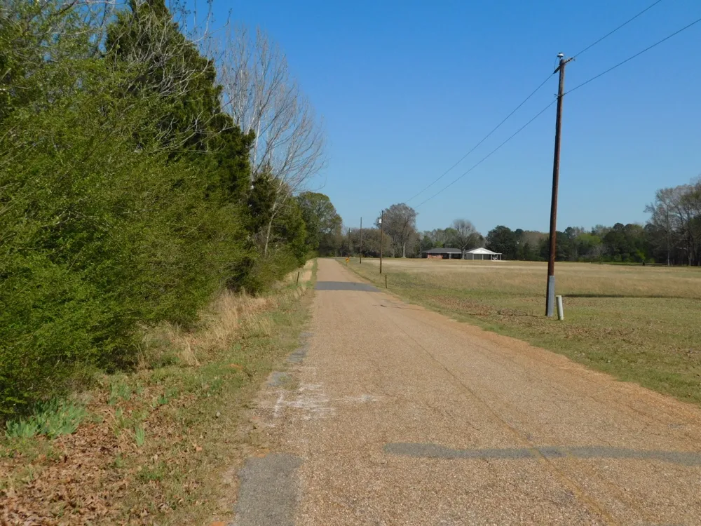 Cox Road Sarepta, LA 71071
